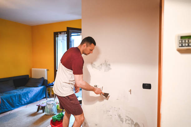 Best Mold Testing and Inspection Services in Benton, IL